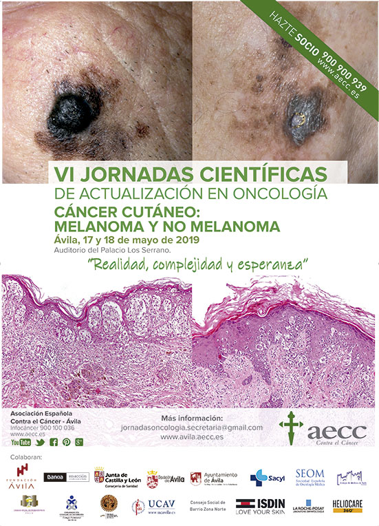 VI Jornadas Científicas