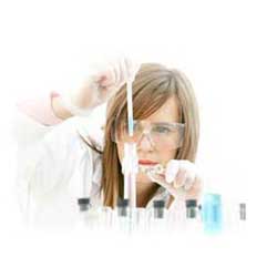 Investigadora