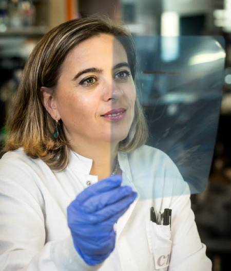 Dra. Guadalupe Sabio