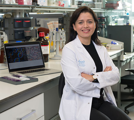 Dra. Leticia de Mattos-Arruda