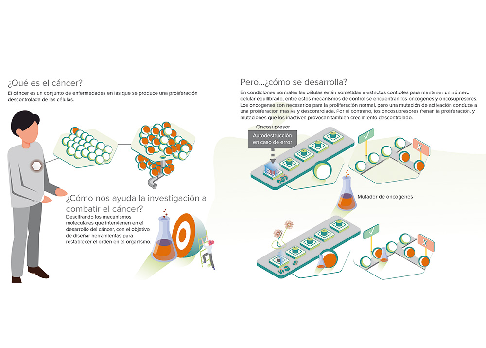 Descubre que es lo que ocurre en nuestro organismo cuando se produce un cáncer desde su interior