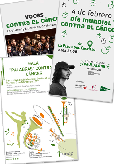 Actividades 4 de febrero 2017 Navarra