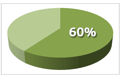 60%
