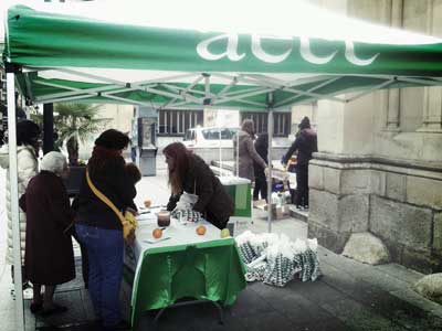 Carpa contra el cáncer de colon