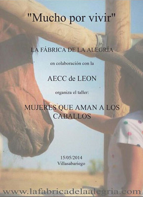 Jornada de couching con caballos