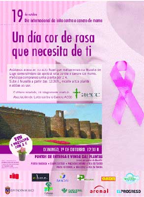 Un Día Cor de Rosa que Necesita de Ti