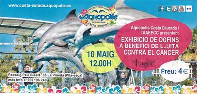 Exhibició de Dofins