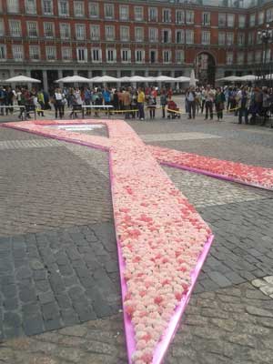 Once mil claveles solidarios en la Plaza Mayor de Madrid