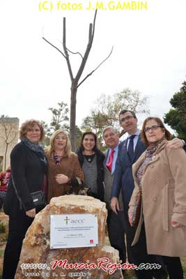 Día Mundial Contra el Cáncer AECC-Murcia