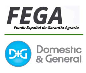 La AECC motiva a empleados del Fondo de Garantía Agraria y de Domestic & General a abandonar el hábito del tabaco