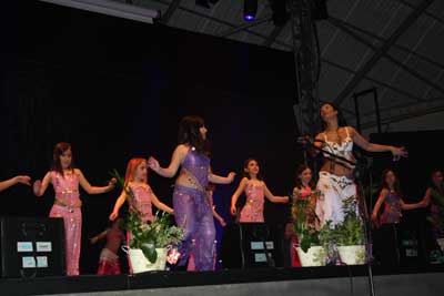 Gran Gala a beneficio de la aecc organizada por ACOM