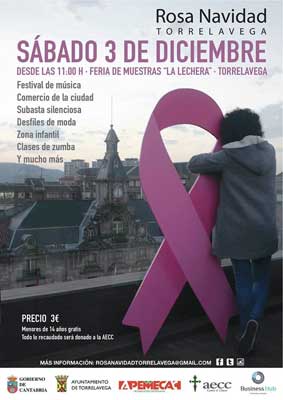 Rosa Navidad, Torrelavega (Cantabria) 2016