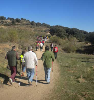 Senderismo Saludable en Villanueva de la Cañada