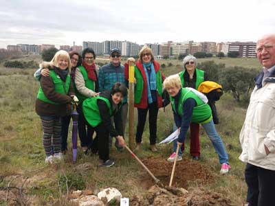 La Junta local de la AECC de Tres Cantos planta un enebro con motivo de la celebración del 25º aniversario del municipio