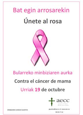 Día Mundial Contra el Cáncer de Mama 2014 aecc Gipuzkoa