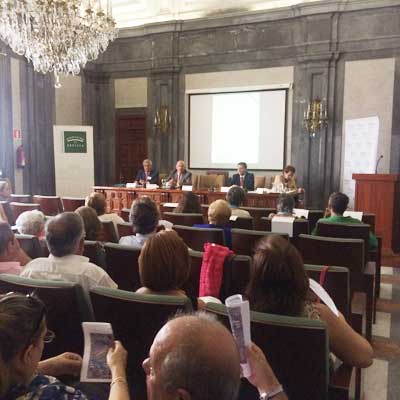 VII Encuentro de Juntas Locales de Sevilla