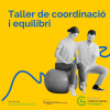 Grupo de coordinación y equilibrio