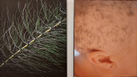 La exposición se podrá visitar de 11:00 a 13:00 horas y de 17:00 a 20:00 horas.