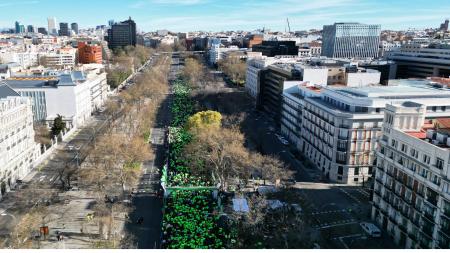 27.000 participantes tomaron el paseo de la Castellana de Madrid.