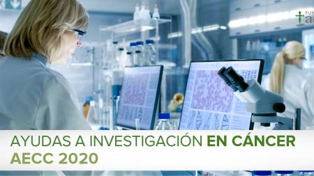 Ayudas a investigación en cáncer