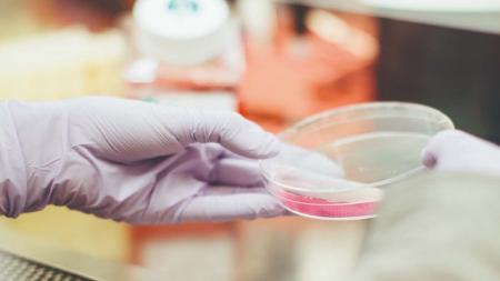 El cáncer en Cataluña en el 2020