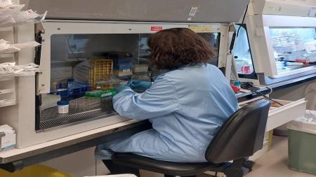 Mes de la investigación