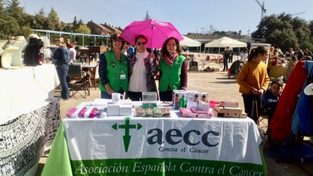 Desde la izquierda, ‘Maico’ Blasco, Mª Ángeles Barbosa y Conchi Sánchez, en un mercadillo celebrado en Torrelodones el 24 de marzo de 2019.