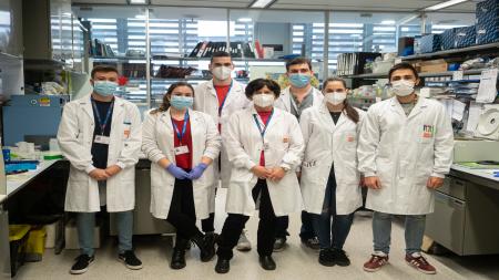 Equipo de Investigación de Anna Bigas