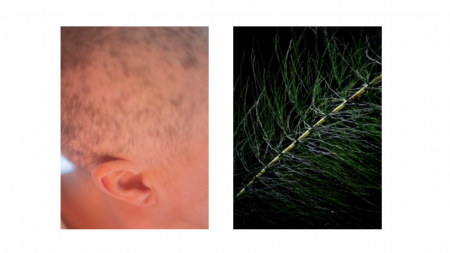 El horario para visitar esta muestra es de 8:00 a 19:00 horas