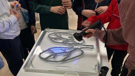 Laboratorio de Ciencia para Todos.