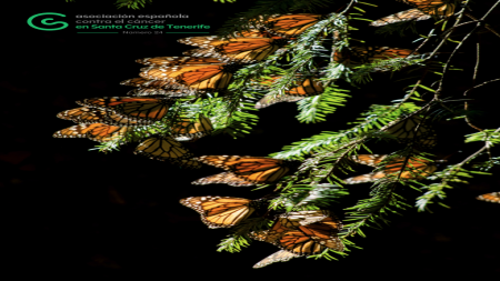 portada de la revista