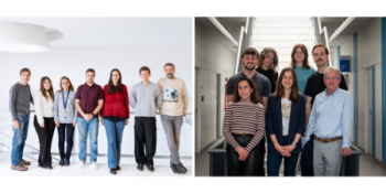 Degradar proteínas como posible estrategia contra el cáncer de pulmón
