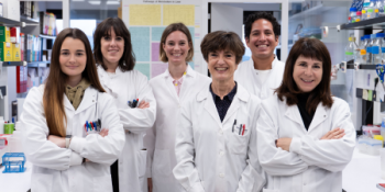 Descubren una nueva estrategia para potenciar la inmunoterapia contra el cáncer en modelos animales