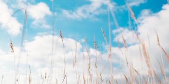 Taller de relajación 'Tómate un respiro', por la psicooncóloga Marta Lavado