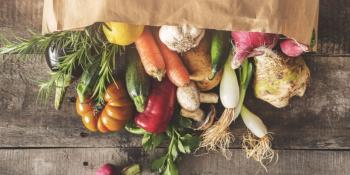 NUTRIZIO TAILERRA - 2. SAIOA