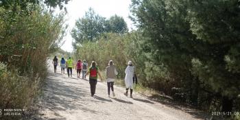 Rutas saludables Pamplona