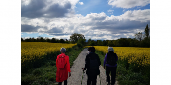 Rutas saludables - Bosque de Quejigos Zabalgana (Anillo verde Vitoria-Gasteiz) - 7 de octubre