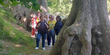 RUTAS SALUDABLES-PAMPLONA