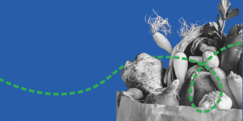 Leer Entre Líneas: Descifrar Etiquetas para Construir la Salud