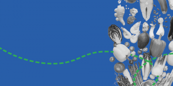 Economía Nutricional: Alimenta tu Salud sin Agotar tu Bolsillo