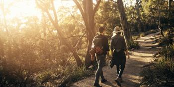 Rutas saludables - Bosque de Armentia (Anillo verde Vitoria-Gasteiz) - 11 de junio