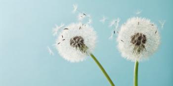 Manejo de ansiedad y técnicas de relajación