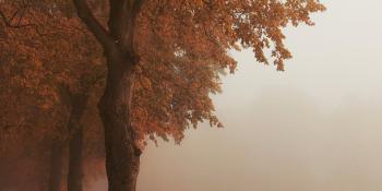 Taller Supervivientes - DONOSTIA