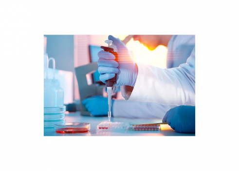 Calendario Estudios Clínicos