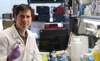 Dr. David Sancho Madrid