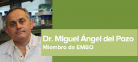 Dr. Miguel Angel del Pozo